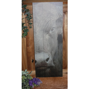 Buffel Deco Bord