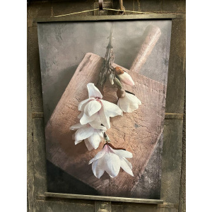 Tuinposter – Wanddoek Witte Mangolia
