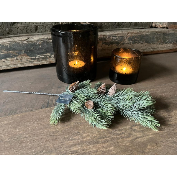 Brynxz Picea Cone Kerst Tak