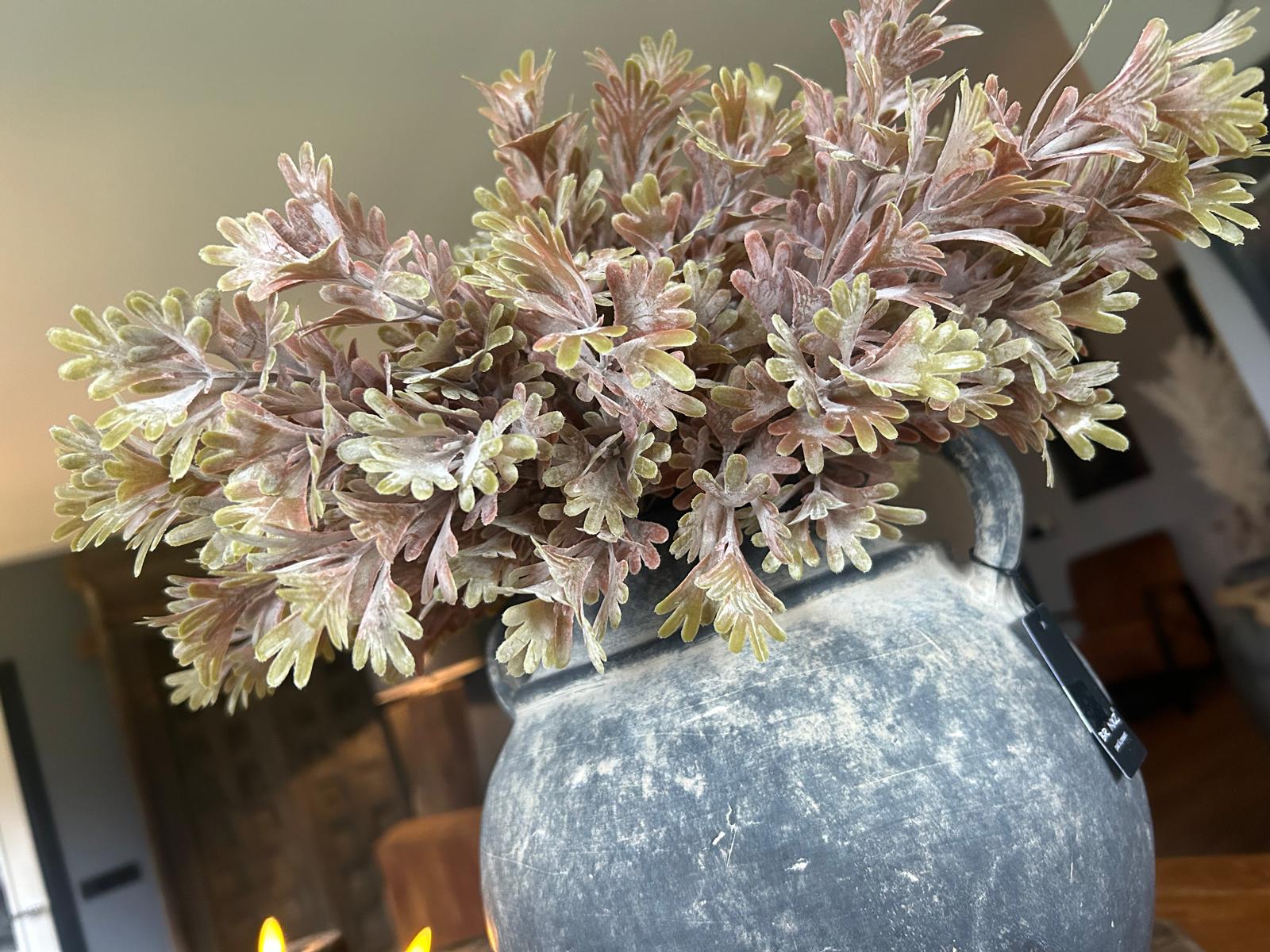 Brynxz Senecio Bush Bronze | Erve Smit | N°1 Kwaliteit