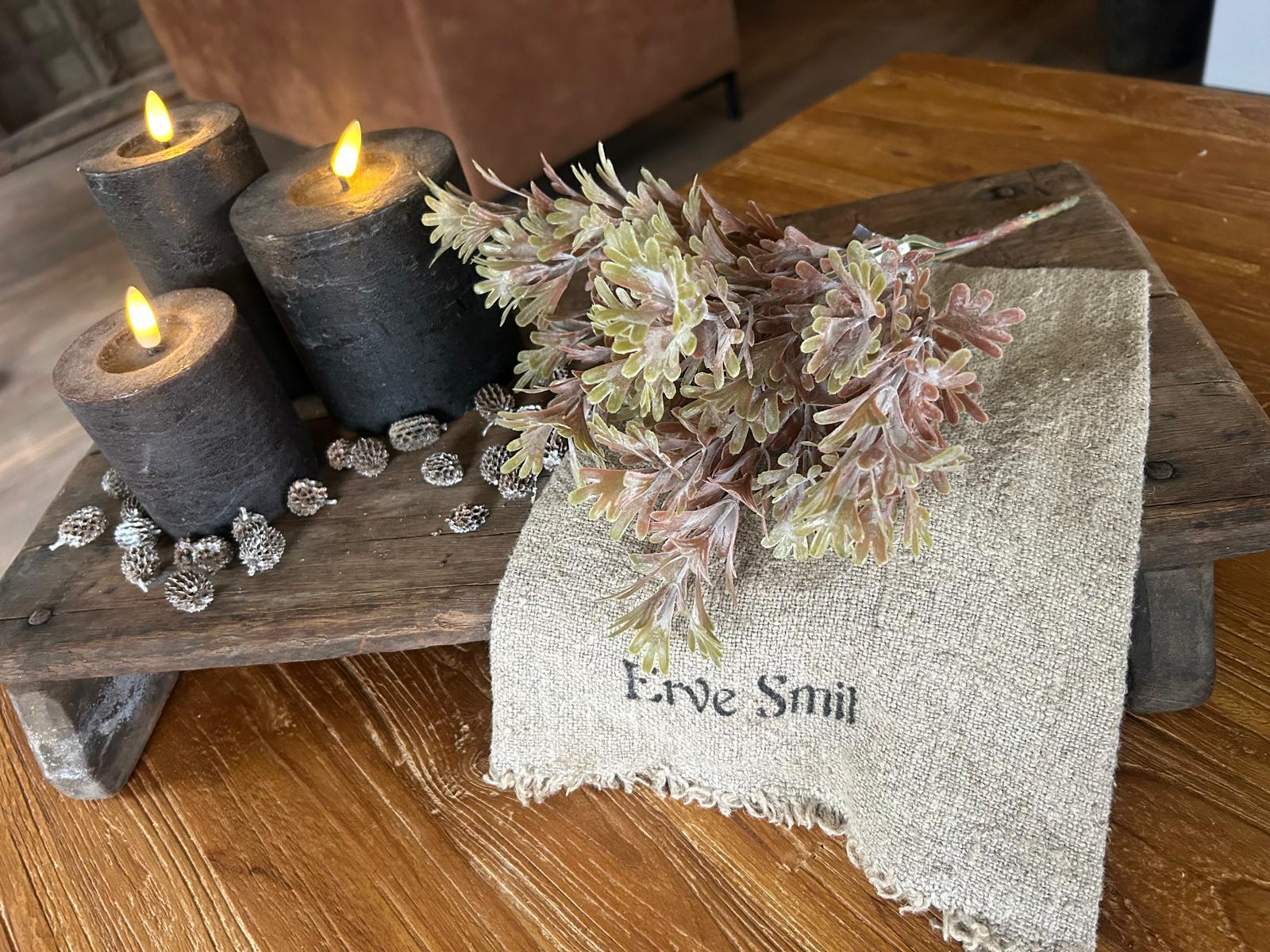 Brynxz Senecio Bush Bronze | Erve Smit | N°1 Kwaliteit