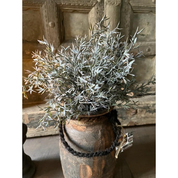 Brynxz sedum bush grey 30 cm