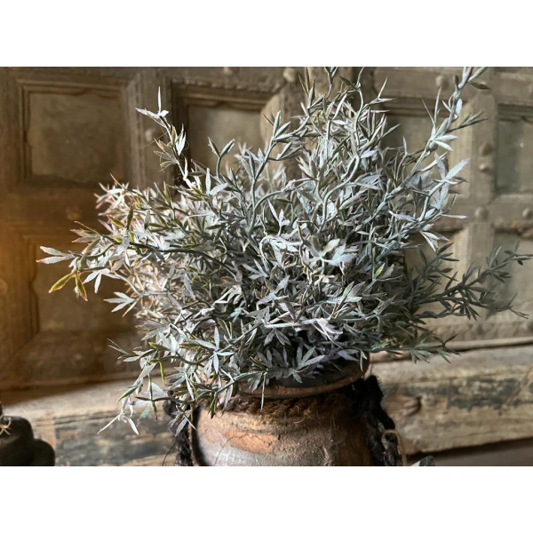Brynxz sedum bush grey 30 cm