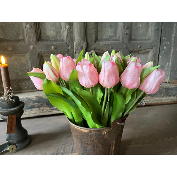 Kunst Tulpen Licht Roze