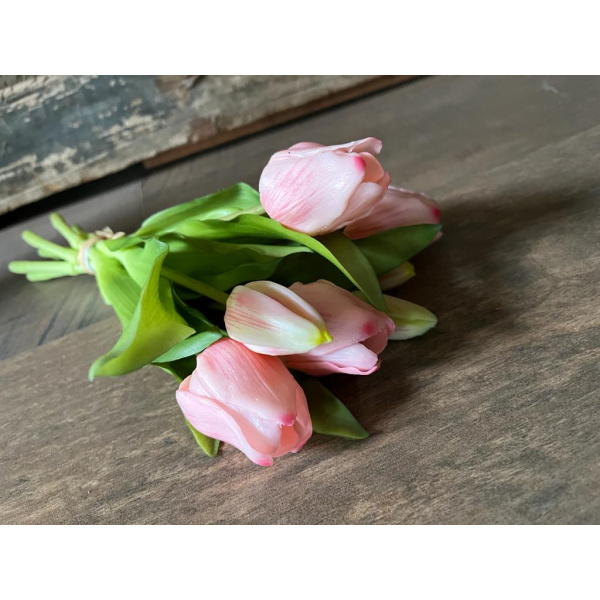 Kunst Tulpen Licht Roze