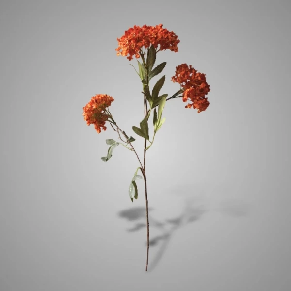 Brynxz Hortensia tros Oranje M 63 cm