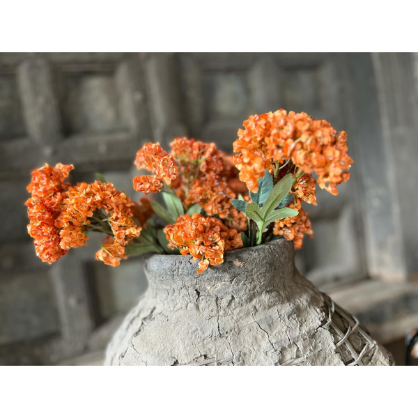 Brynxz Hortensia tros Oranje M 63 cm