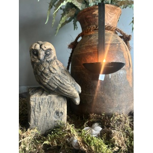 Brynxz Owl at a Statue Majestic Brown