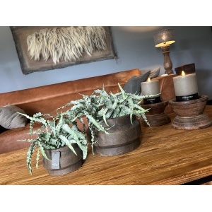 Brynxz Set of 2 Planters Ufo Majestic Brown