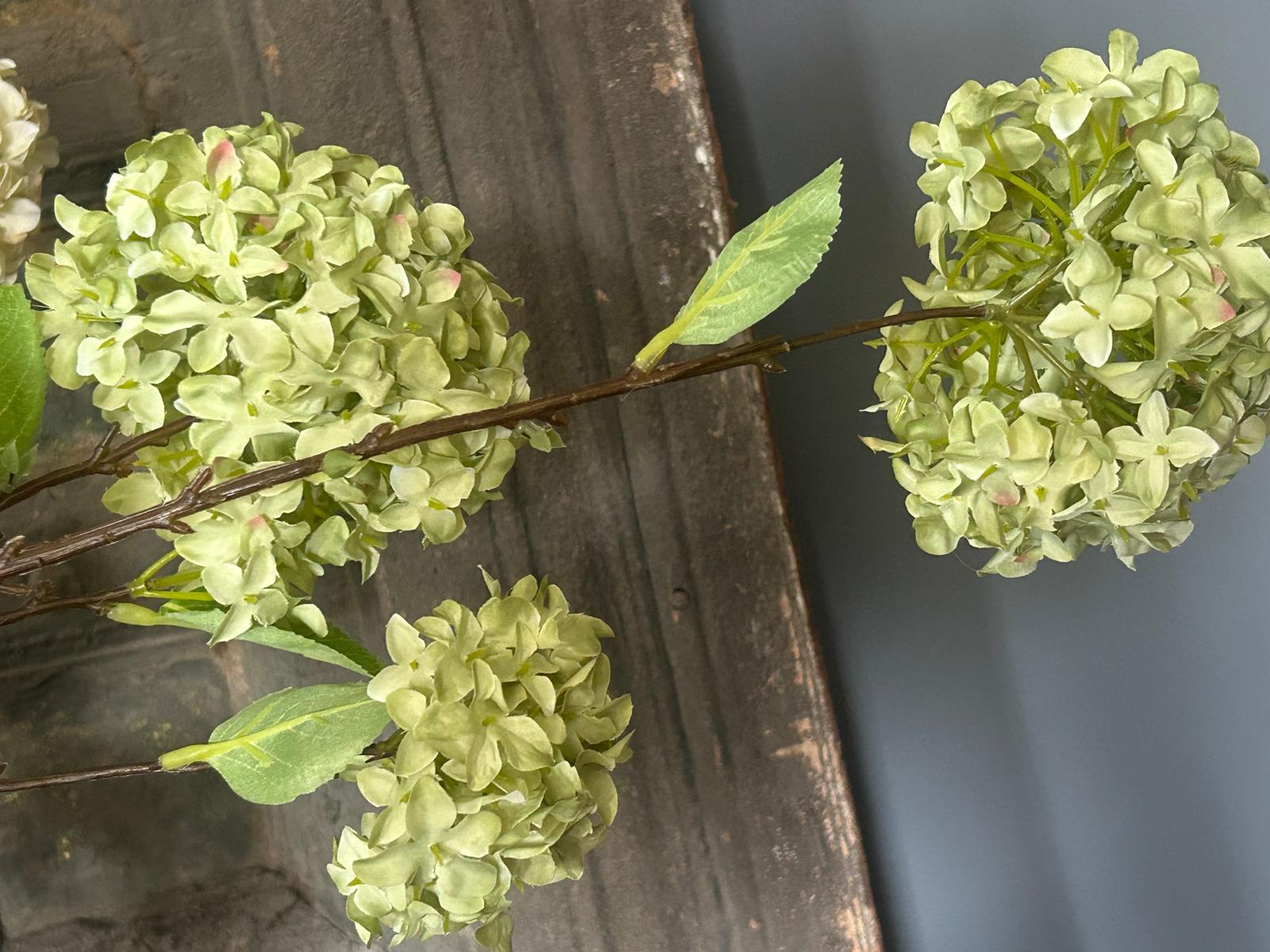 Sylxz Viburnum Opulus Light Green 120 cm | Erve Smit Landelijke decoratie Sylxz Viburnum Opulus White 120 cm