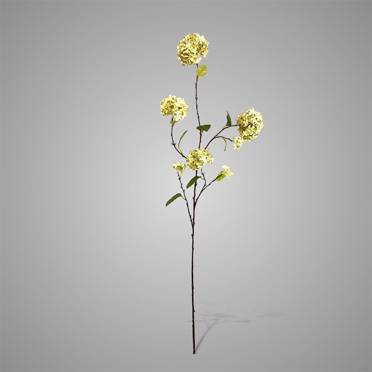 Sylxz Viburnum Opulus Light Green 120 cm | Erve Smit Landelijke decoratie Sylxz Viburnum Opulus White 120 cm