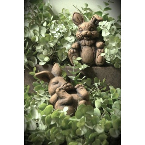Brynxz Set of 2 Hares Funny Majestic Brown