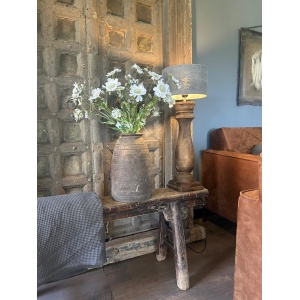 Scabiosa Spring 65 cm