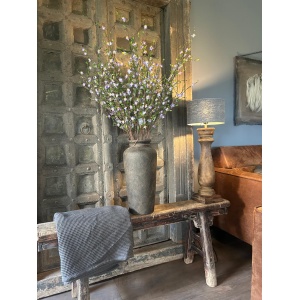 Sylx Cytisus Springrange Paars 90 cm