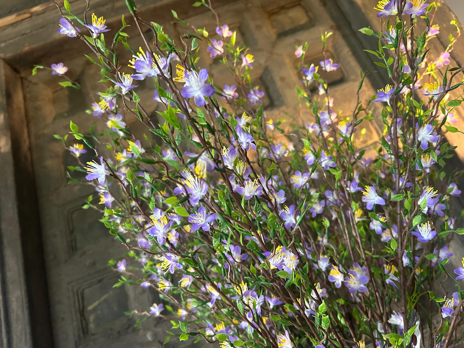 Sylxz Cytisus Springrange Paars 90 cm | Erve Smit Landelijke decoratie Sylx Cytisus Springrange Paars 90 cm