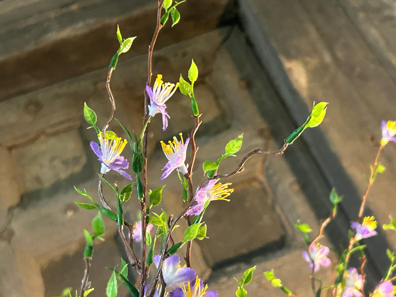 Sylxz Cytisus Springrange Paars 90 cm | Erve Smit Landelijke decoratie Sylx Cytisus Springrange Paars 90 cm