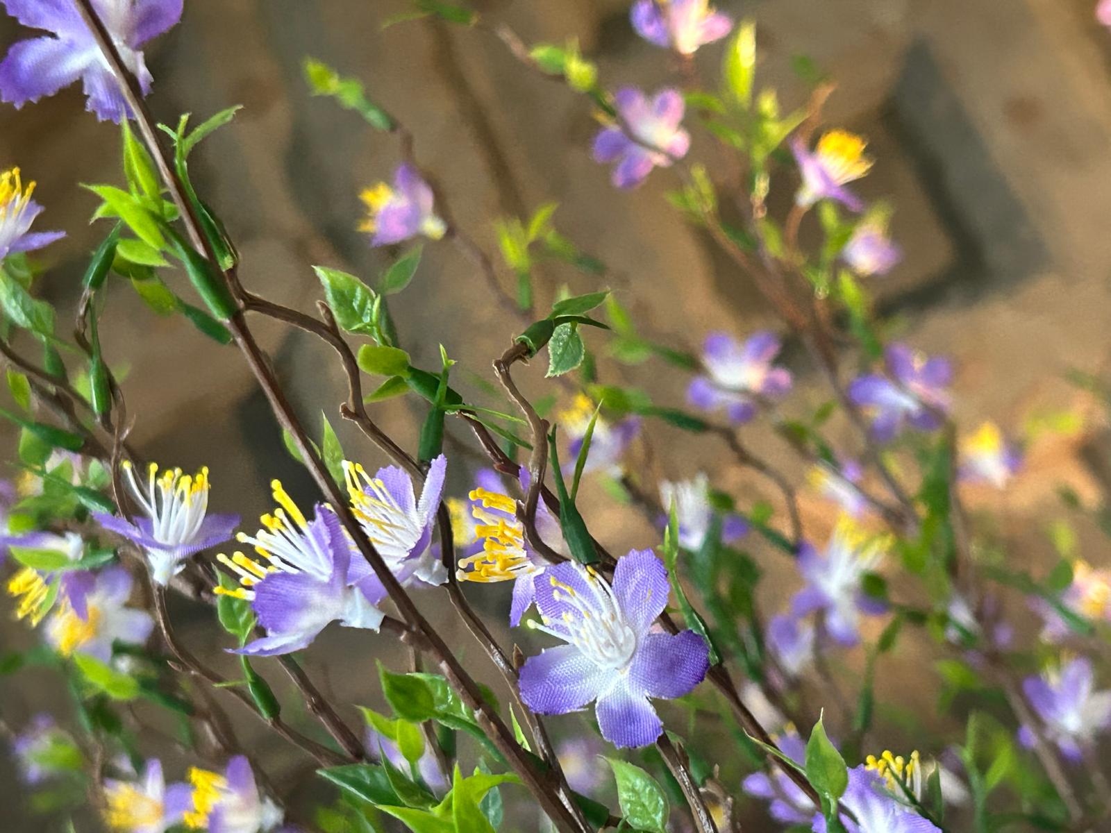 Sylxz Cytisus Springrange Paars 90 cm | Erve Smit Landelijke decoratie Sylx Cytisus Springrange Paars 90 cm