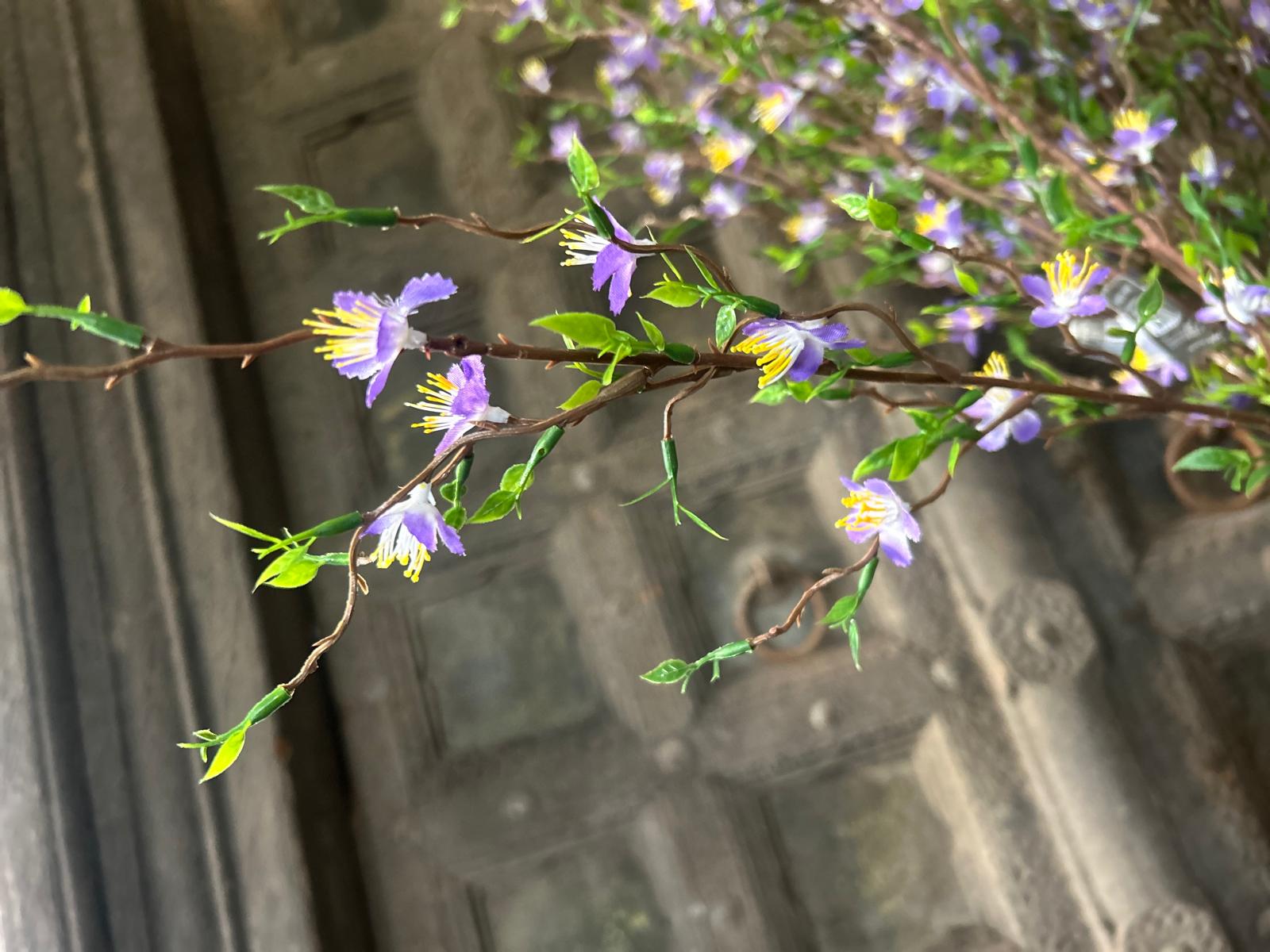 Sylxz Cytisus Springrange Paars 90 cm | Erve Smit Landelijke decoratie Sylx Cytisus Springrange Paars 90 cm