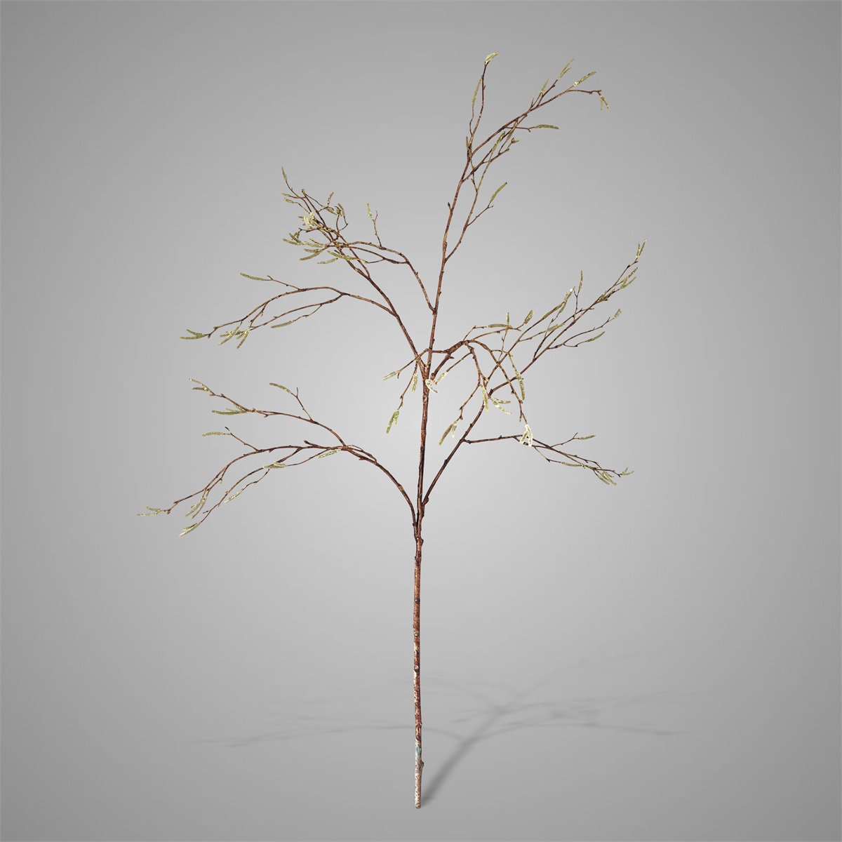 Sylxz Betula Fructus 100 cm | Erve Smit Landelijke decoratie Sylxz Betula Fructus 100 cm