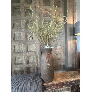 Sylxz Betula Fructus 100 cm