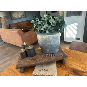 Sylxz Bush Saintpaulia Dark Green 35 cm