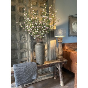 Sylxz Cytisus Springrange Donker Roze Paars 90 cm