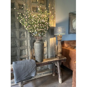 Sylxz Cytisus Springrange Roze 90 cm