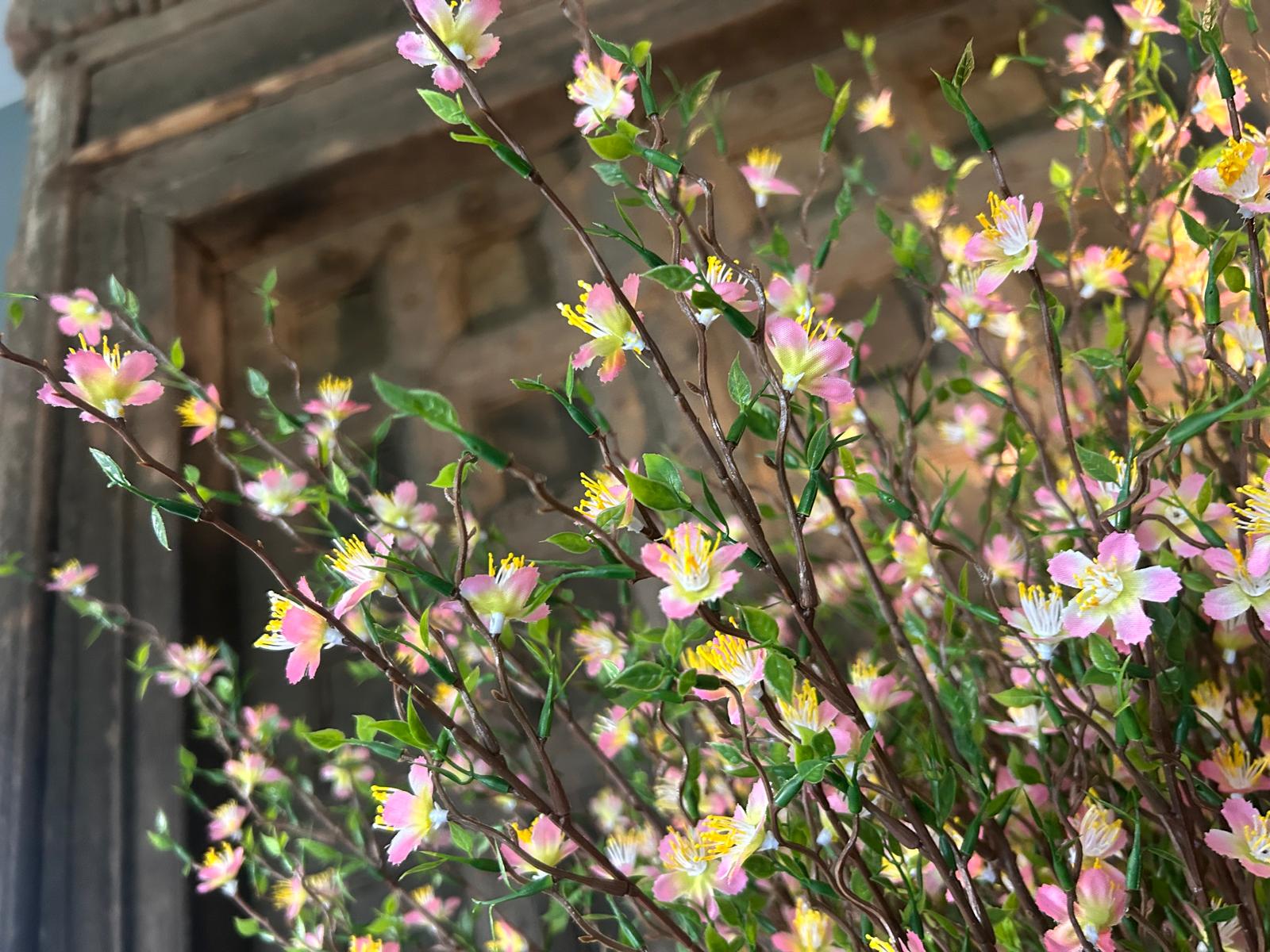 Sylxz Cytisus Springrange Roze 90 cm | Erve Smit Landelijke decoratie Sylxz Cytisus Springrange Roze 90 cm