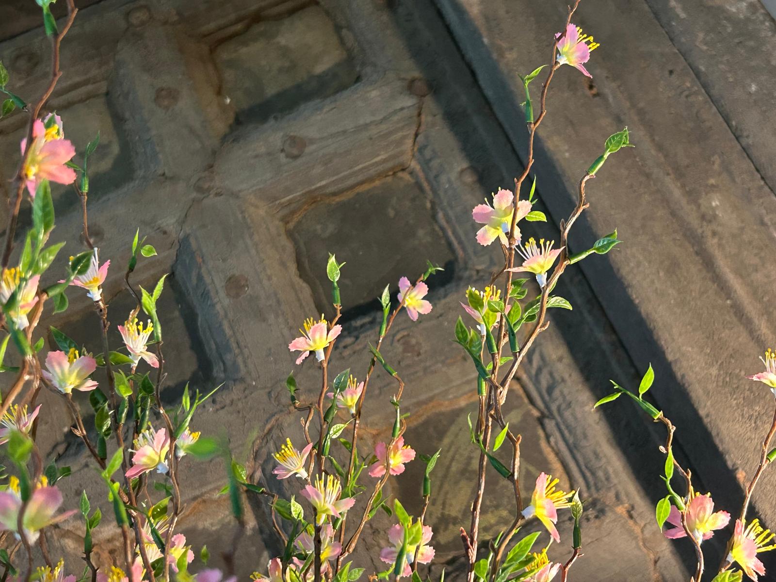 Sylxz Cytisus Springrange Roze 90 cm | Erve Smit Landelijke decoratie Sylxz Cytisus Springrange Roze 90 cm