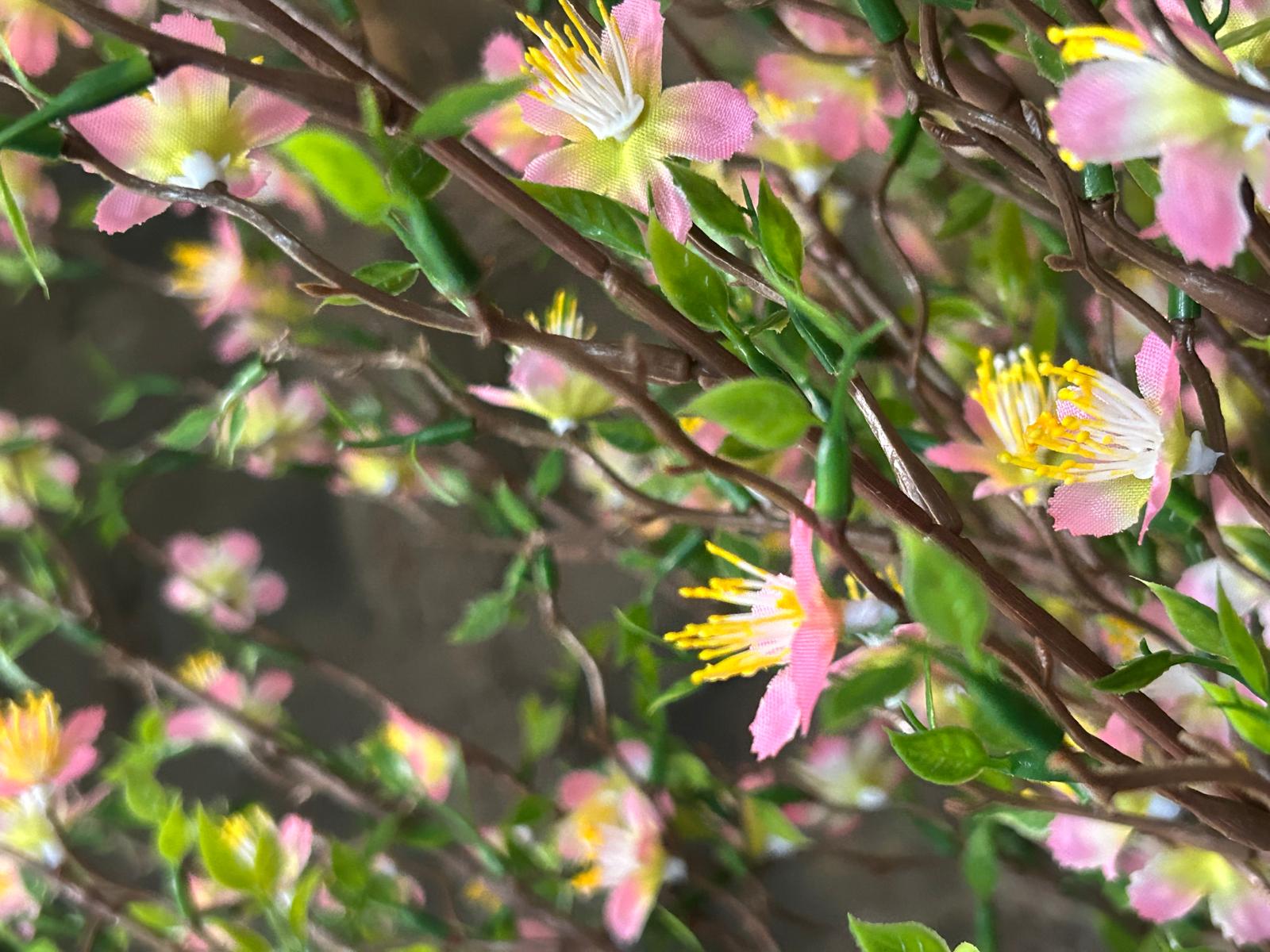 Sylxz Cytisus Springrange Roze 90 cm | Erve Smit Landelijke decoratie Sylxz Cytisus Springrange Roze 90 cm