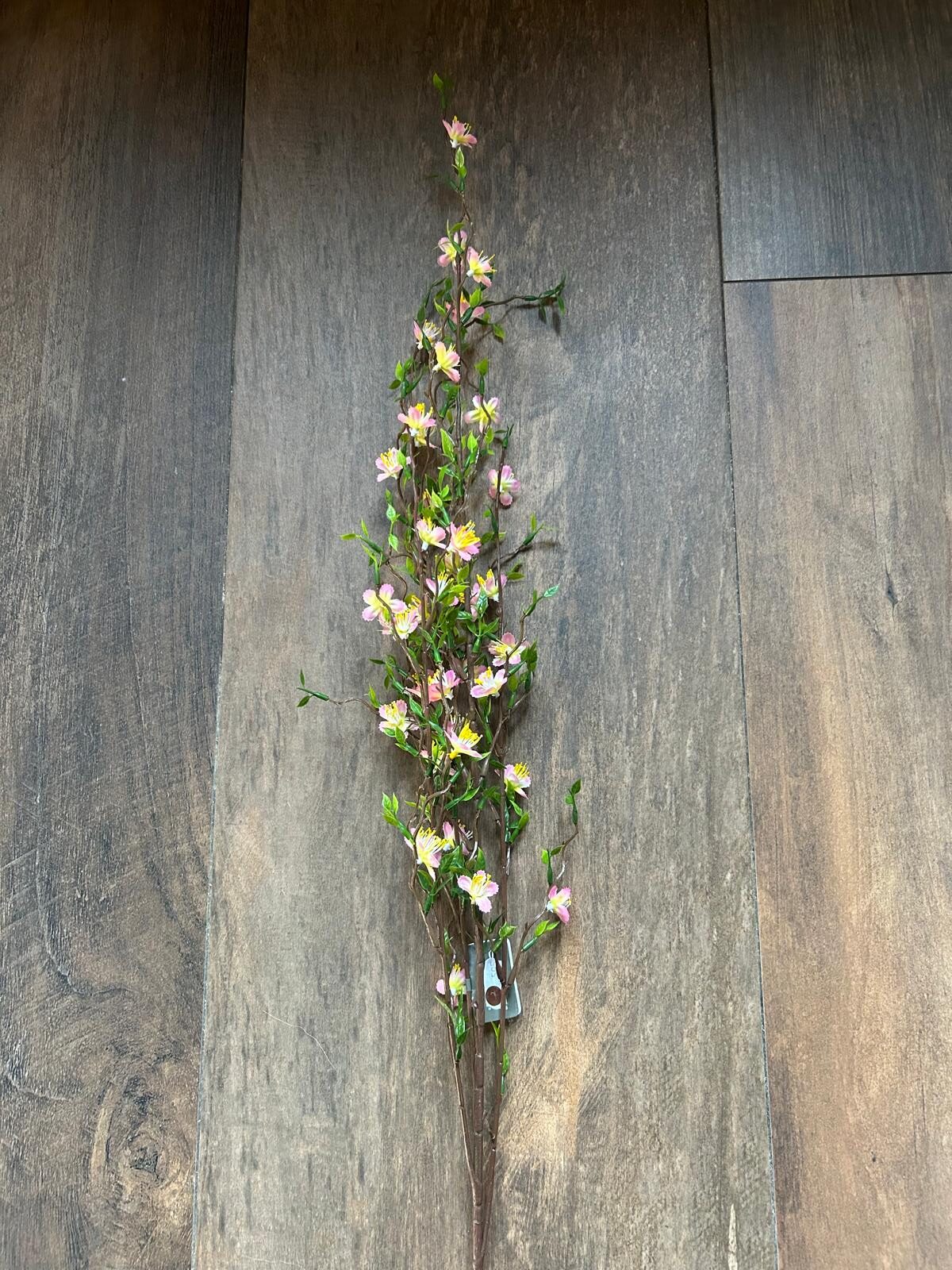 Sylxz Cytisus Springrange Roze 90 cm | Erve Smit Landelijke decoratie Sylxz Cytisus Springrange Roze 90 cm