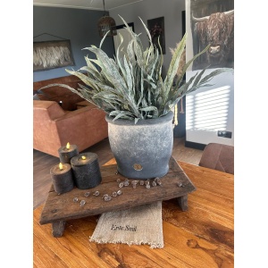 Sylxz Dearhorn Fern Grey Green 40 cm