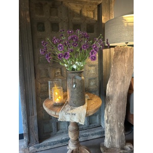 Sylxz Dianthus Spring 65 cm