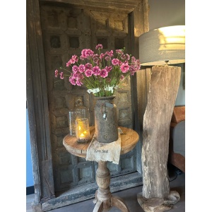 Sylxz Dianthus Spring 65 cm