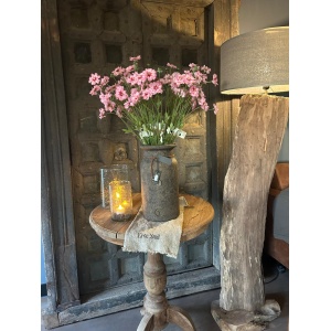 Sylxz Dianthus Spring 65 cm