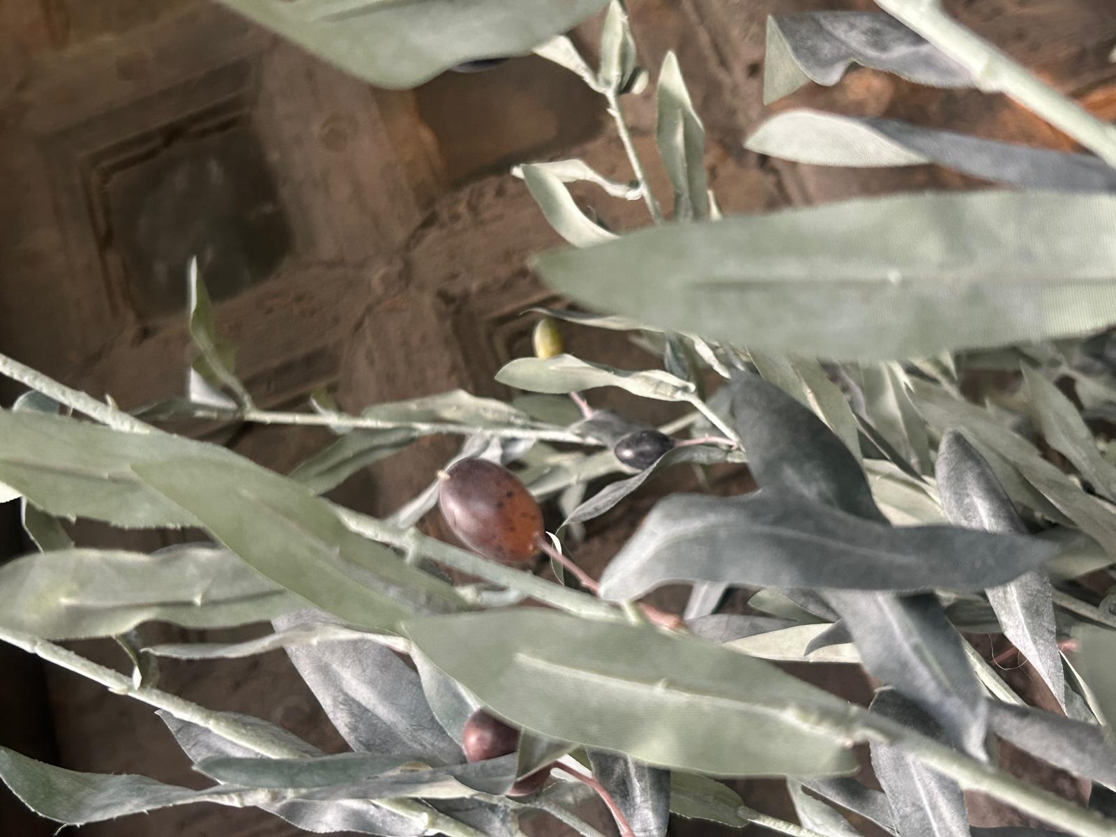 Sylxz Olive Ancient Grey 110 cm | Erve Smit Landelijke decoratie Sylxz Olive Ancient Grey 110 cm