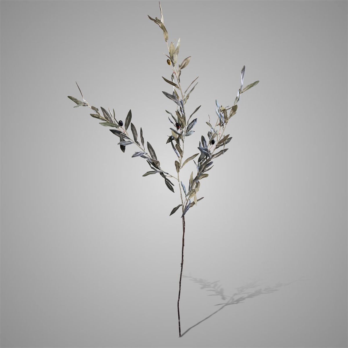 Sylxz Olive Ancient Grey 110 cm | Erve Smit Landelijke decoratie Sylxz Olive Ancient Grey 110 cm