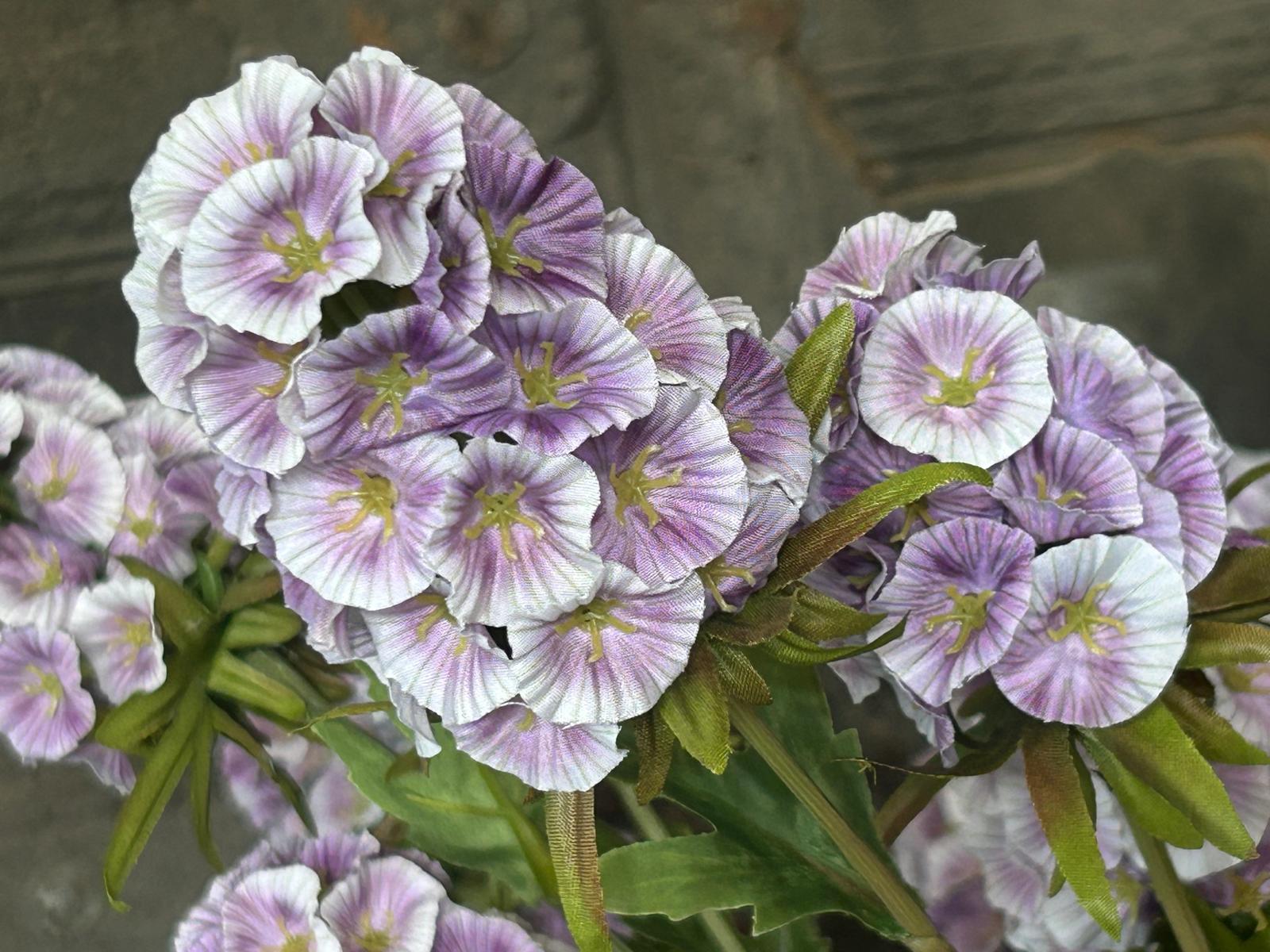 Sylxz Scabiosa Grande Spring Paars 65 cm | Erve Smit Landelijke decoratie Sylxz Scabiosa Grande Spring Paars 65 cm