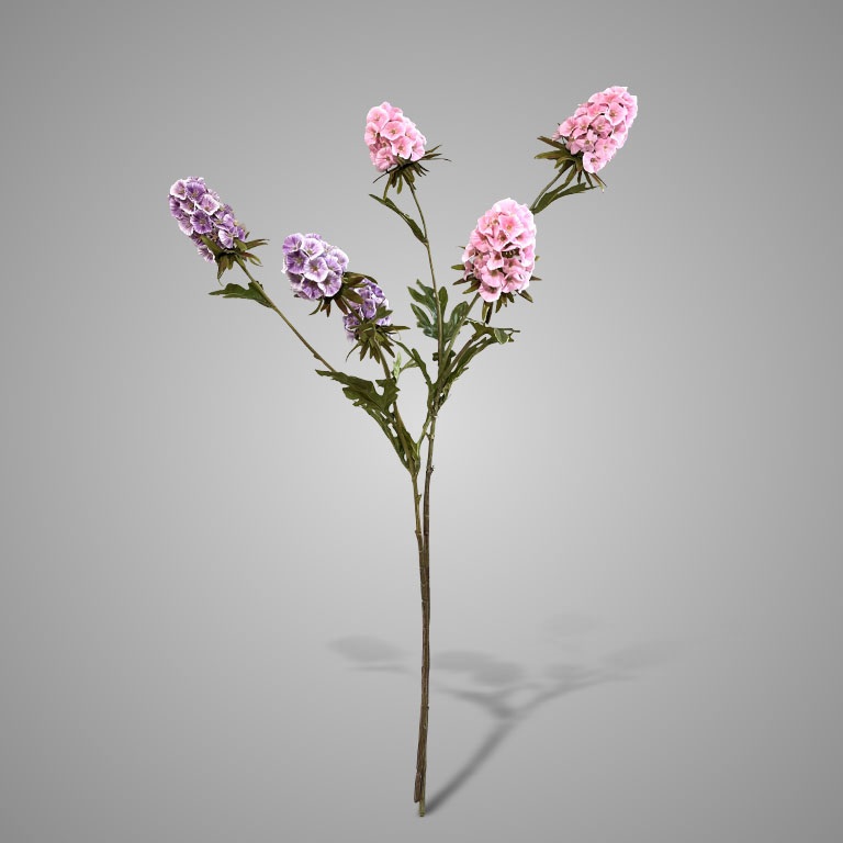 Sylxz Scabiosa Grande Spring Paars 65 cm | Erve Smit Landelijke decoratie Sylxz Scabiosa Grande Spring Roze 65 cm