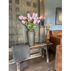 Sylxz Scabiosa Grande Spring Roze 65 cm