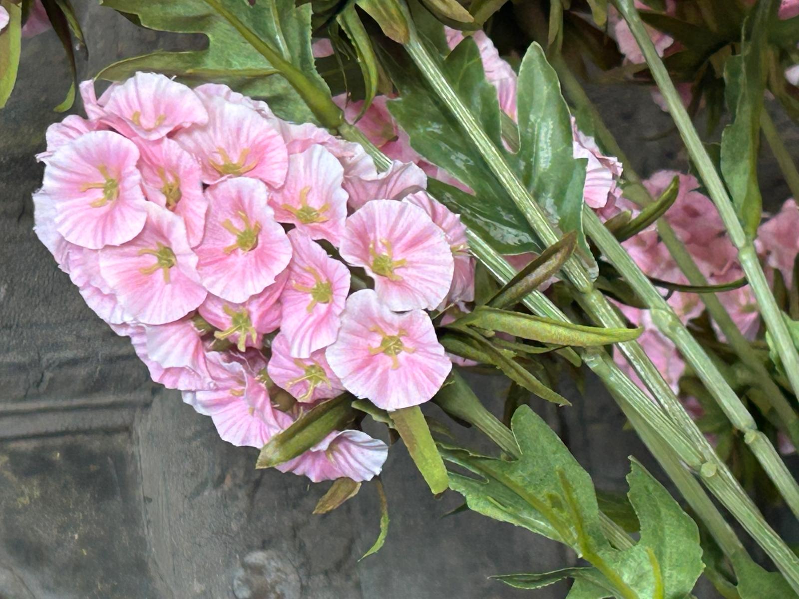 Sylxz Scabiosa Grande Spring Roze 65 cm | Erve Smit Landelijke decoratie Sylxz Scabiosa Grande Spring Roze 65 cm