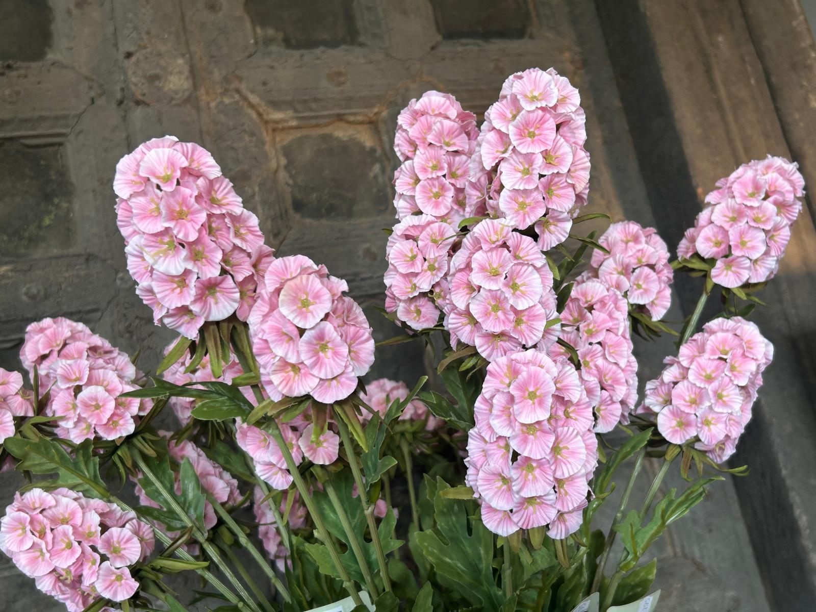 Sylxz Scabiosa Grande Spring Roze 65 cm | Erve Smit Landelijke decoratie Sylxz Scabiosa Grande Spring Roze 65 cm