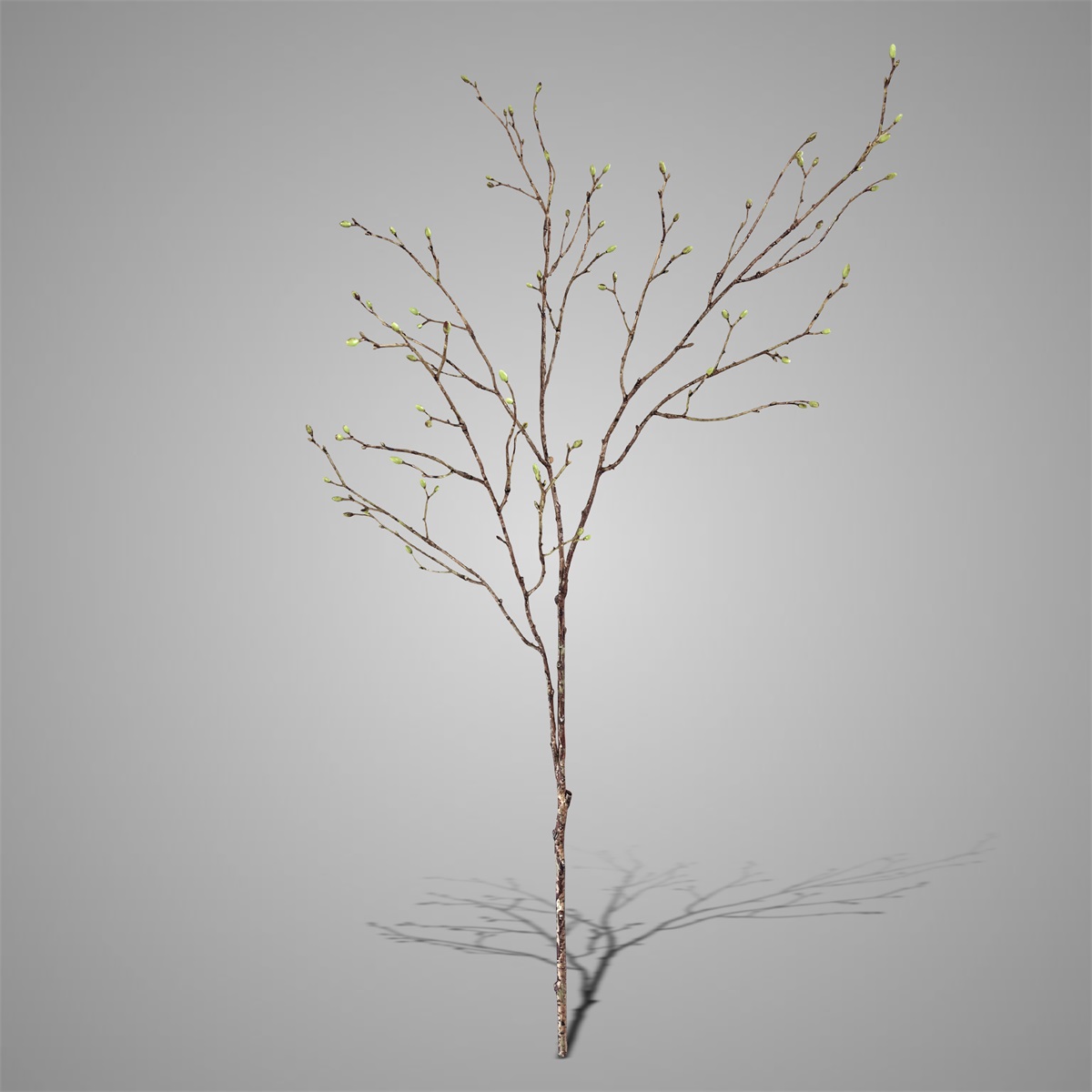 Sylxz Spring Buds Green 100 cm | Erve Smit Landelijke decoratie Sylxz Spring Buds Green 100 cm