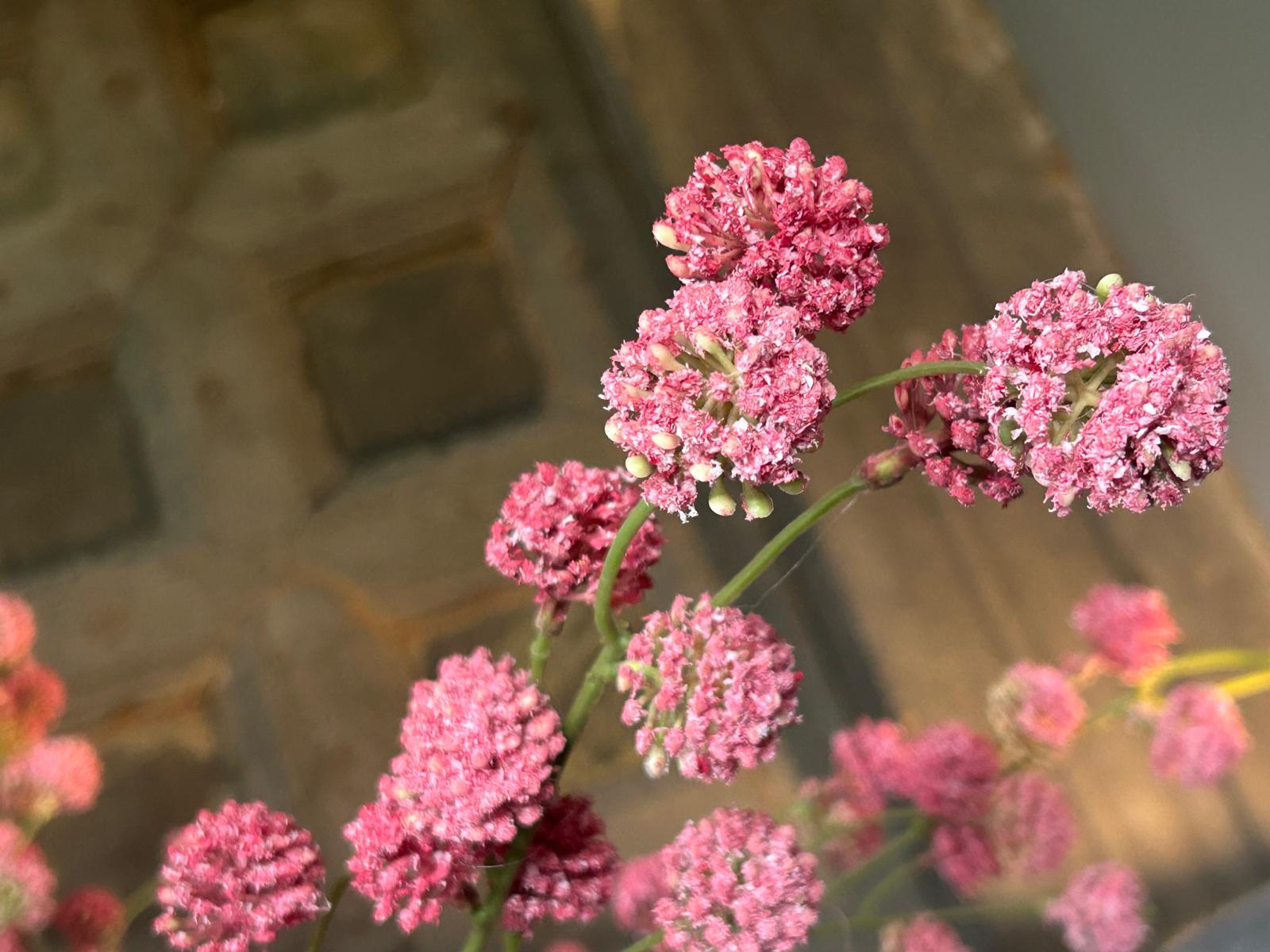 Sylxz Spring Flower Spray Ball Pink 110 cm | Erve Smit Landelijke decoratie Sylxz Spring Flower Spray Ball Pink 110 cm