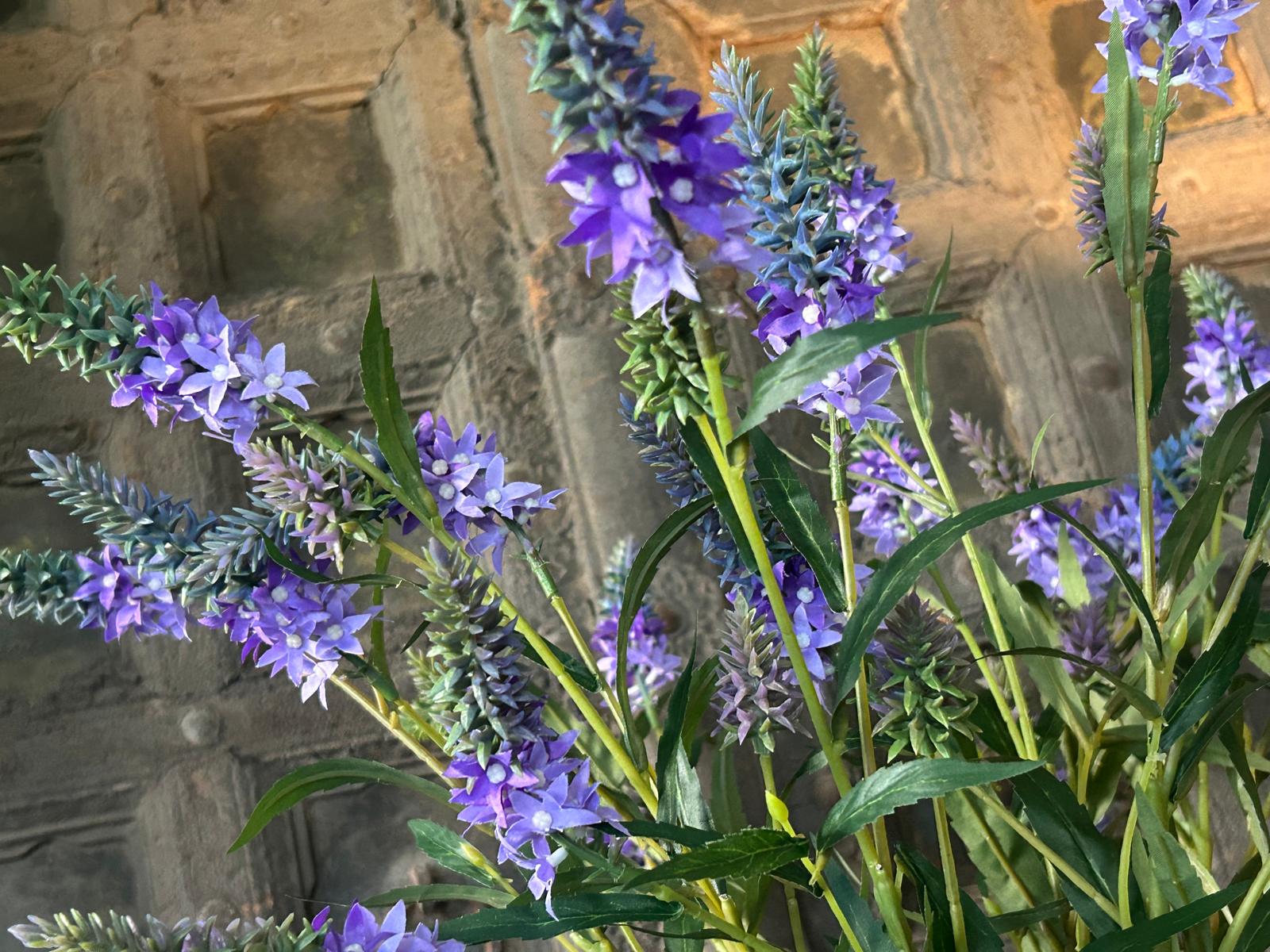 Sylxz Veronica Purple 85 cm | Erve Smit Landelijke decoratie Sylxz Veronica Purple 85 cm