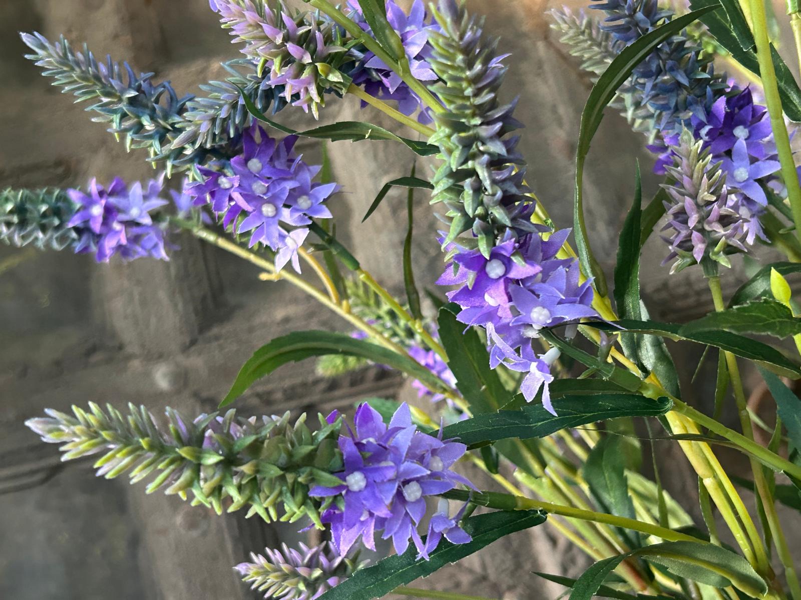 Sylxz Veronica Purple 85 cm | Erve Smit Landelijke decoratie Sylxz Veronica Purple 85 cm