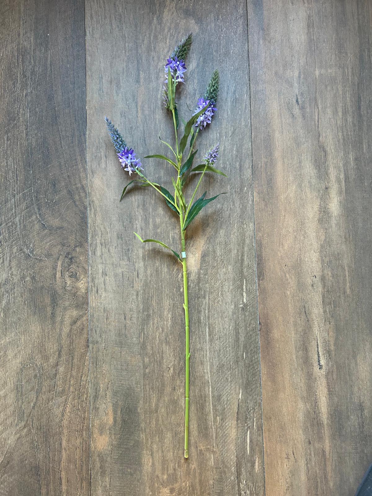 Sylxz Veronica Purple 85 cm | Erve Smit Landelijke decoratie Sylxz Veronica Purple 85 cm