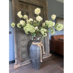 Sylxz Viburnum Opulus White 120 cm