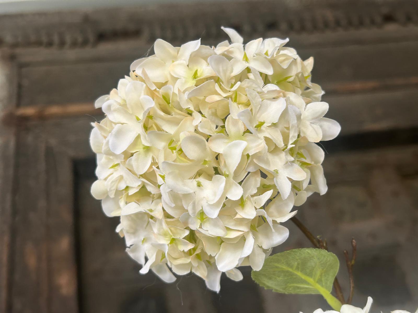 Sylxz Viburnum Opulus White 120 cm | Erve Smit Landelijke decoratie Sylxz Viburnum Opulus White 120 cm