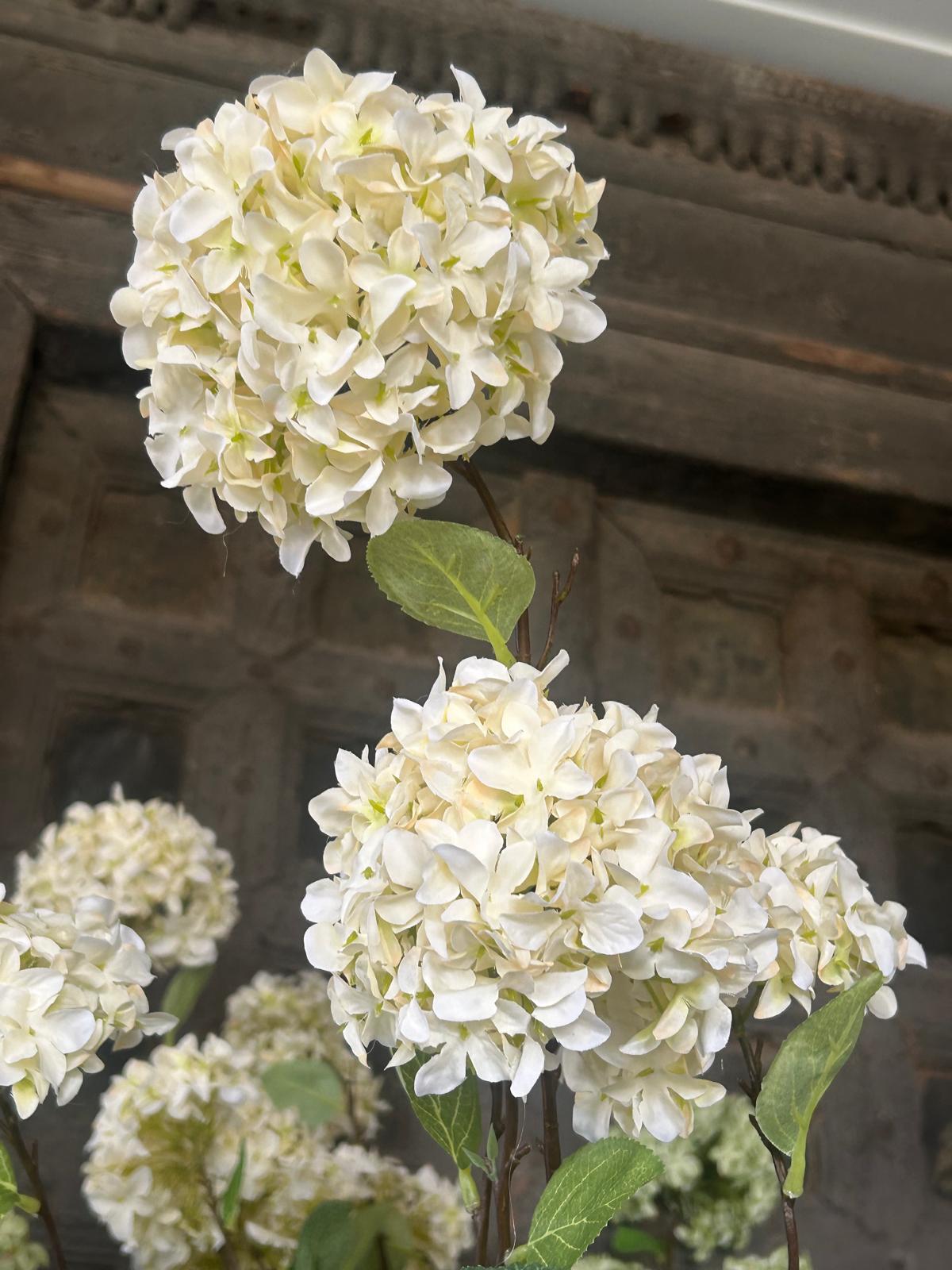 Sylxz Viburnum Opulus White 120 cm | Erve Smit Landelijke decoratie Sylxz Viburnum Opulus White 120 cm
